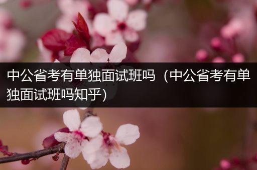 中公省考有单独面试班吗（中公省考有单独面试班吗知乎）