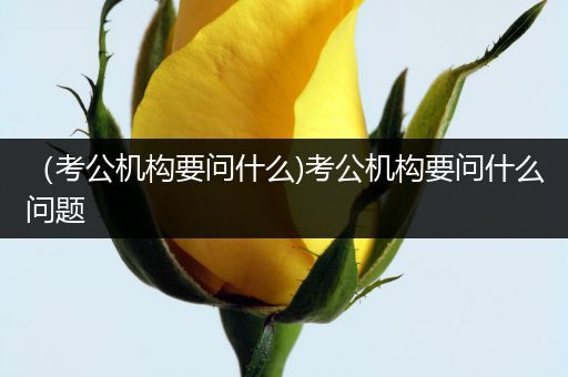（考公机构要问什么)考公机构要问什么问题