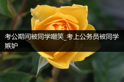 考公期间被同学嘲笑_考上公务员被同学嫉妒
