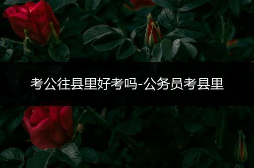 考公往县里好考吗-公务员考县里