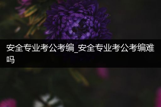 安全专业考公考编_安全专业考公考编难吗