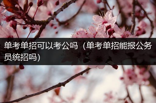 单考单招可以考公吗（单考单招能报公务员统招吗）