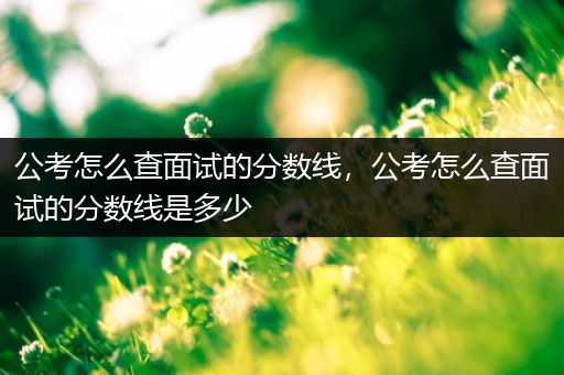 公考怎么查面试的分数线，公考怎么查面试的分数线是多少