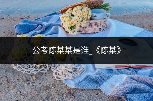公考陈某某是谁_《陈某》