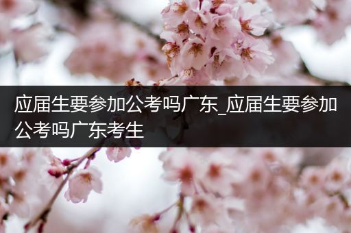 应届生要参加公考吗广东_应届生要参加公考吗广东考生