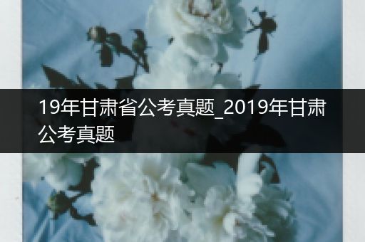 19年甘肃省公考真题_2019年甘肃公考真题