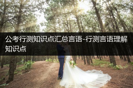公考行测知识点汇总言语-行测言语理解知识点