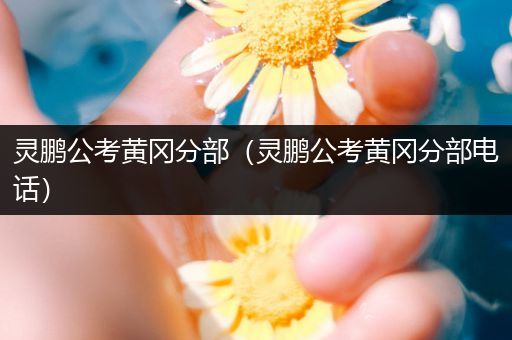 灵鹏公考黄冈分部（灵鹏公考黄冈分部电话）