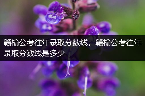 赣榆公考往年录取分数线，赣榆公考往年录取分数线是多少