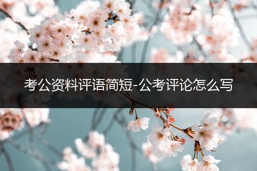 考公资料评语简短-公考评论怎么写