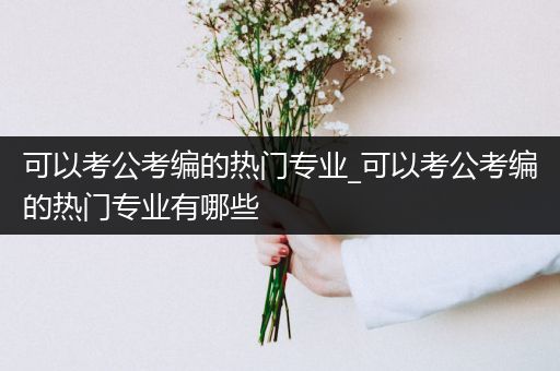 可以考公考编的热门专业_可以考公考编的热门专业有哪些