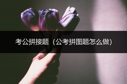考公拼接题（公考拼图题怎么做）
