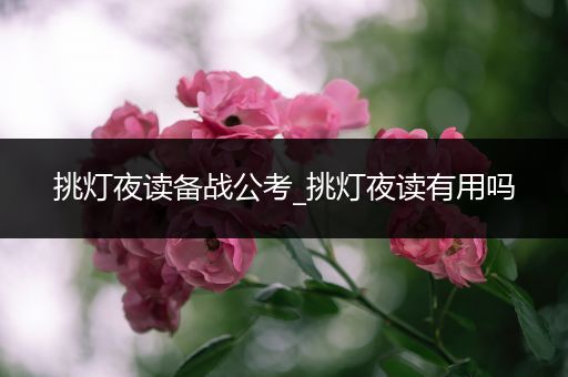 挑灯夜读备战公考_挑灯夜读有用吗