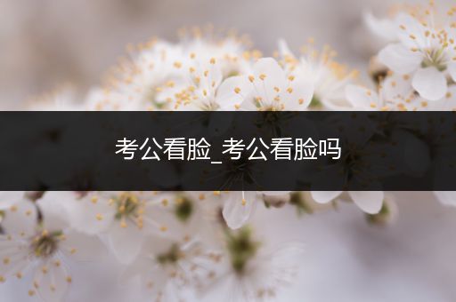 考公看脸_考公看脸吗