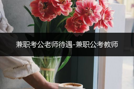 兼职考公老师待遇-兼职公考教师
