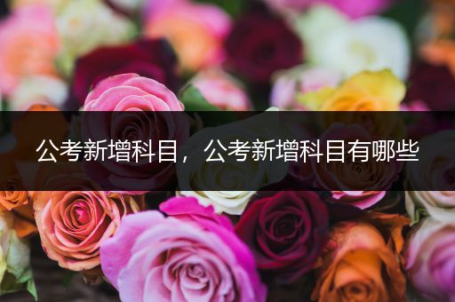 公考新增科目，公考新增科目有哪些