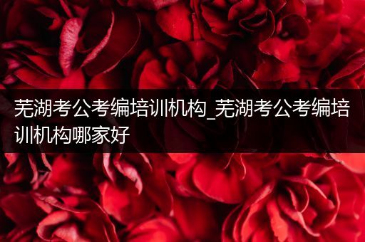 芜湖考公考编培训机构_芜湖考公考编培训机构哪家好