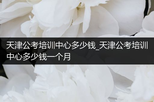 天津公考培训中心多少钱_天津公考培训中心多少钱一个月
