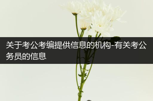 关于考公考编提供信息的机构-有关考公务员的信息