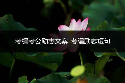 考编考公励志文案_考编励志短句