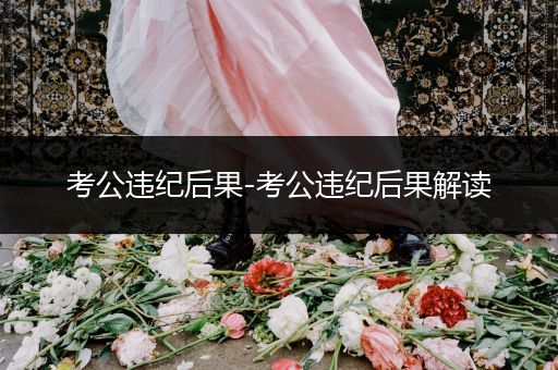 考公违纪后果-考公违纪后果解读