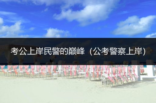 考公上岸民警的巅峰（公考警察上岸）