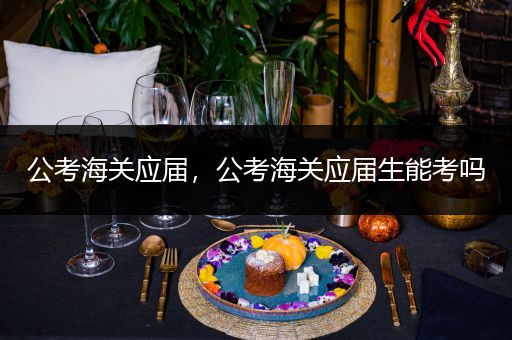 公考海关应届，公考海关应届生能考吗