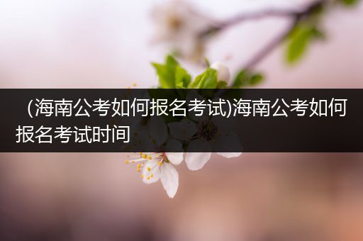 （海南公考如何报名考试)海南公考如何报名考试时间