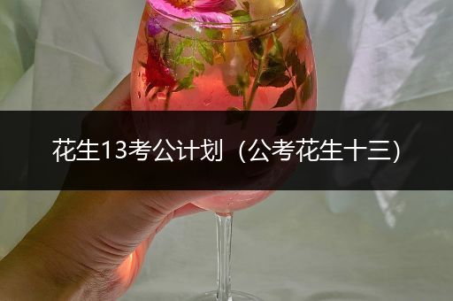 花生13考公计划（公考花生十三）