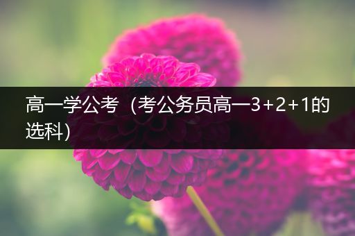 高一学公考（考公务员高一3+2+1的选科）