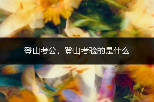 登山考公，登山考验的是什么