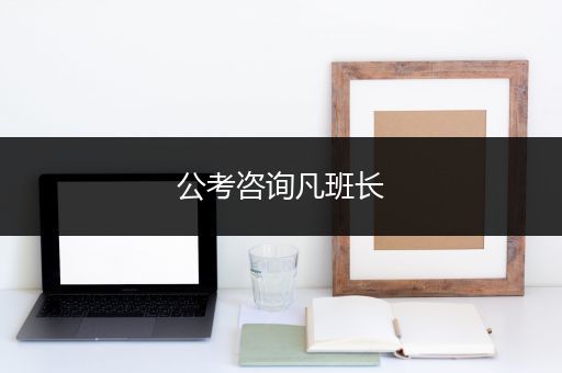 公考咨询凡班长