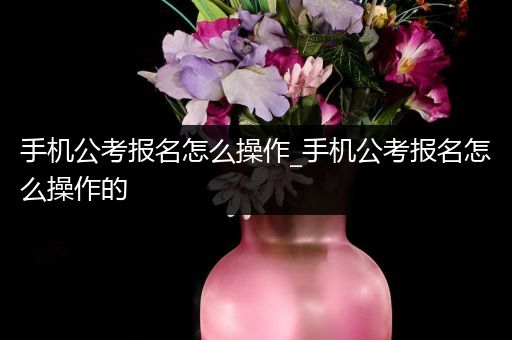 手机公考报名怎么操作_手机公考报名怎么操作的