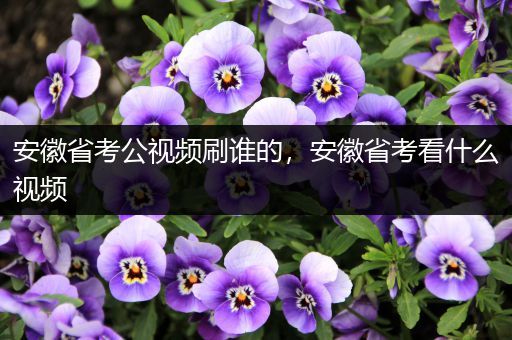 安徽省考公视频刷谁的，安徽省考看什么视频