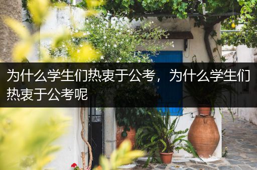 为什么学生们热衷于公考，为什么学生们热衷于公考呢