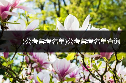 （公考禁考名单)公考禁考名单查询