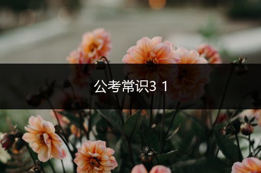 公考常识3 1