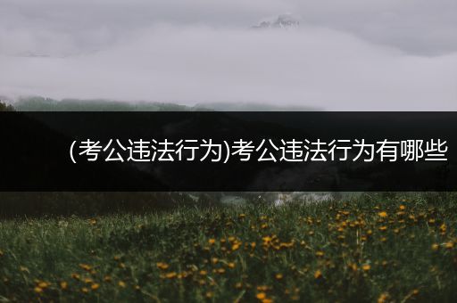 （考公违法行为)考公违法行为有哪些