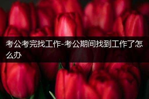 考公考完找工作-考公期间找到工作了怎么办