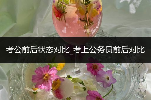 考公前后状态对比_考上公务员前后对比