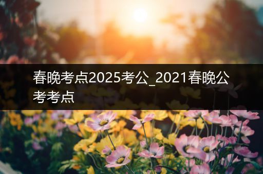 春晚考点2025考公_2021春晚公考考点