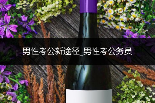 男性考公新途径_男性考公务员