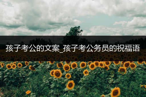 孩子考公的文案_孩子考公务员的祝福语