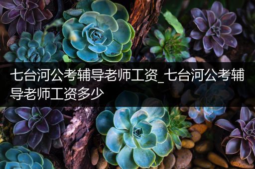 七台河公考辅导老师工资_七台河公考辅导老师工资多少