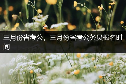 三月份省考公，三月份省考公务员报名时间