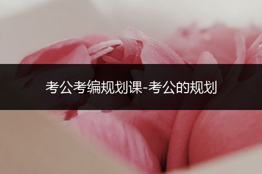 考公考编规划课-考公的规划