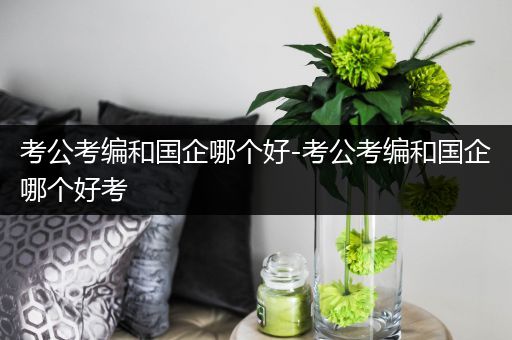 考公考编和国企哪个好-考公考编和国企哪个好考