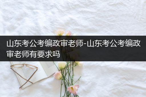 山东考公考编政审老师-山东考公考编政审老师有要求吗