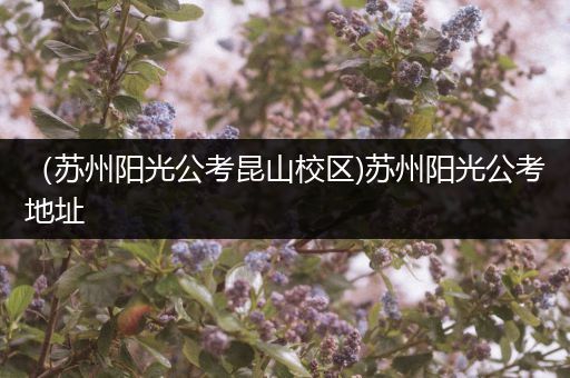 （苏州阳光公考昆山校区)苏州阳光公考地址
