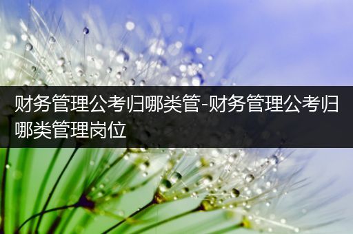 财务管理公考归哪类管-财务管理公考归哪类管理岗位